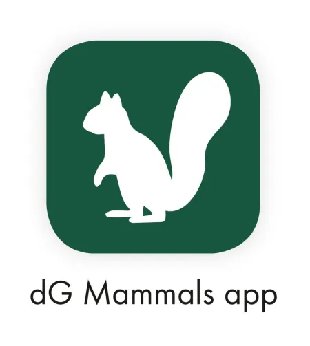 Swarovski Monocular dG 8X25 Wi-Fib