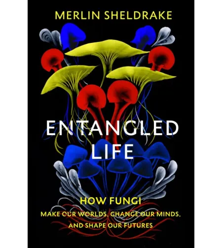 (ENG)Keeruline elu: kuidas seened muudavad meie maailma, muudavad meie meelt