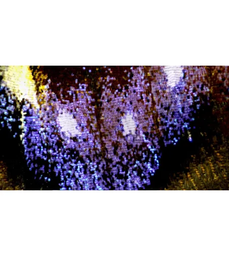 BRESSER Science ETD-301 7-63x Trino Zoom stereomikroskoop