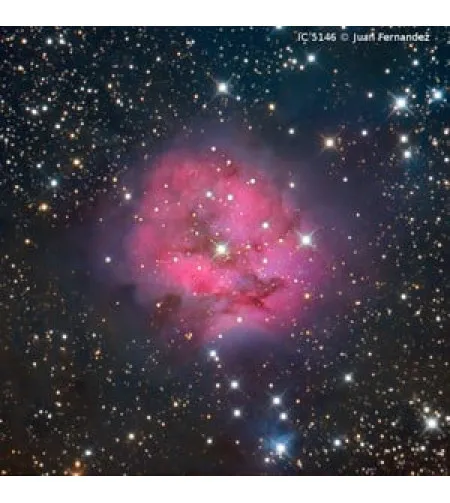 Omegon Ritchey-Chretien Pro RC 203/1624 OTA