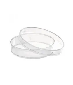 Plastikust Petri tassid (55 mm)