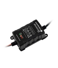 everActive CBC-1 car battery charger