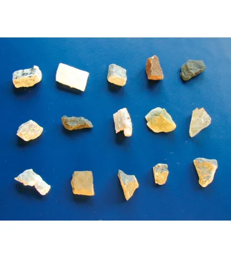 Stereomikroskoop Biolux ICD 20x BRESSER