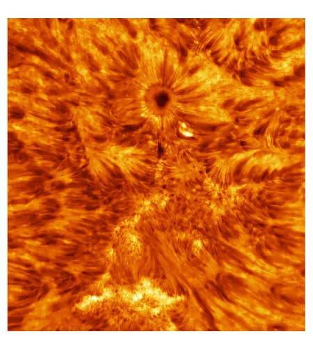 Tecnosky Telescope AC 210/1200 Goliath OTA