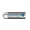 everActive Pro Alkaline AA LR6 1.5V 2900mAh