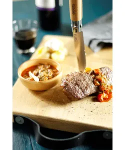 Knife Opinel Blister NR 9 Roostevabast terasest