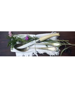 KNIFE OPINEL BLISTER Stainless steel NR 10