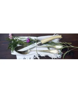 KNIFE OPINEL BLISTER Stainless steel NR 10