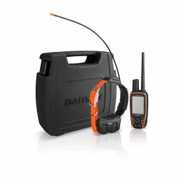 Охота и дрессировка домашних животных