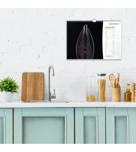 BRESSER kalender 2022 Mikroskoopia