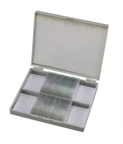 Bresser Prepared Slides: Histology