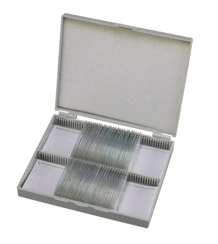 Bresser Prepared Slides: Histology