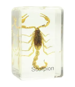 Valmistatud slaid - skorpion, Omegon