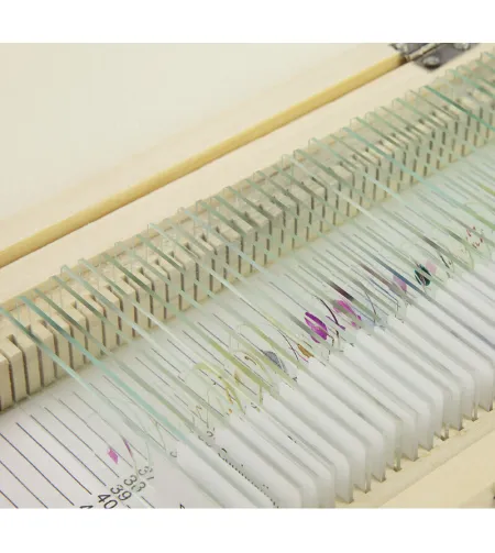 Valmistatud slaidikomplekt, 40 slaidi puidust kastis, Omegon