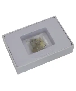 Kivististe komplekt, Omegon