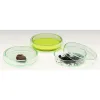 Windaus 100mm glass Petri dish with lid