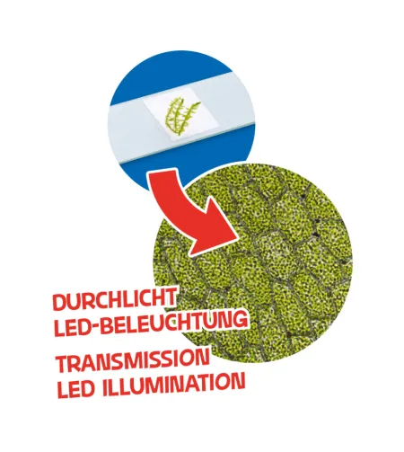 Mikroskoop 40x - 640 Junior, BRESSER