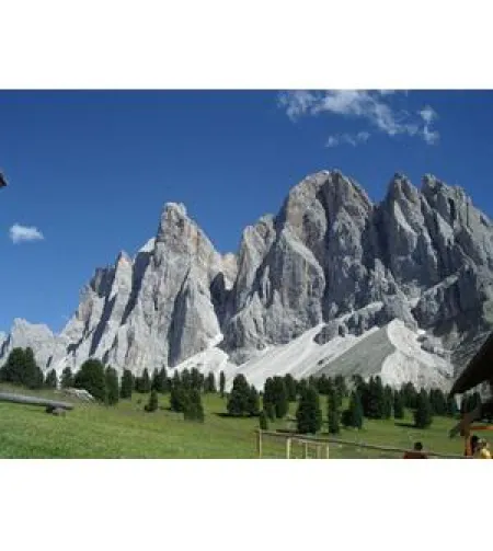 Omegon Blackstar 8x42 binoklid