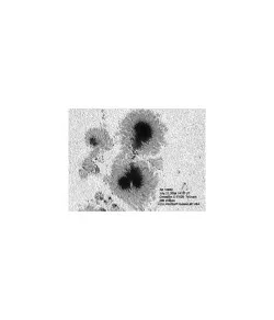 Astrozap AstroSolar teleskoobi päikesefilter 90mm-100mm