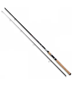 Spinning "Basic" (2.70m, 20-55gr)