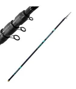 Fishing rod "Rapid Carbon Adjustable" (5m, up to 30gr)