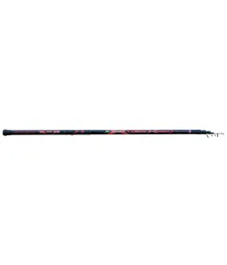 Fishing rod "Cross Carbon Bolo" (5m, up to 30gr)