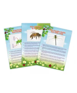 Putukate tolmuimeja, Buki