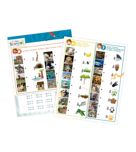 Taskulamp 3-in-1, Buki