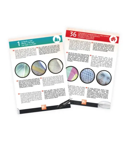 Binokulaarne mikroskoop, Buki