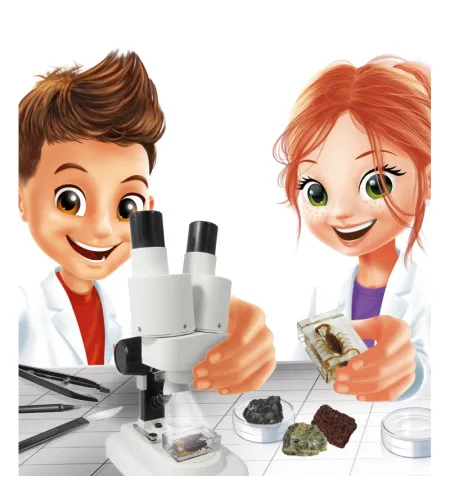 Binokulaarne mikroskoop, Buki