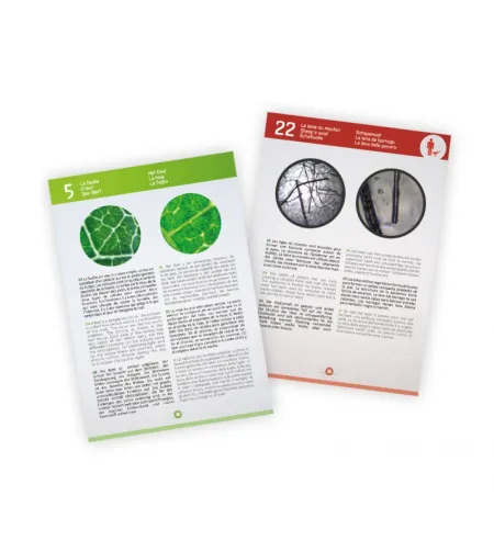 Video Microscope, Buki