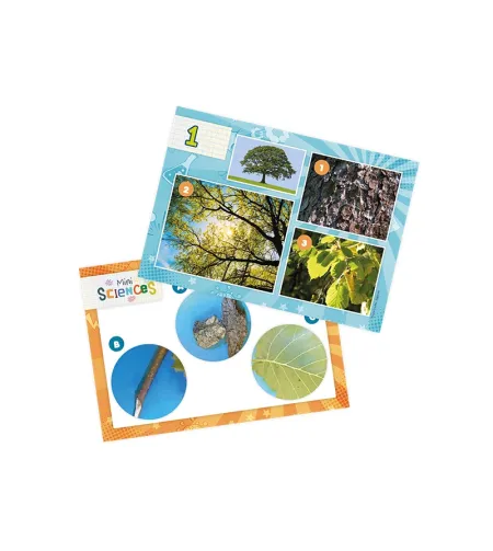 Mikroskoop, Buki, Mini Sciences