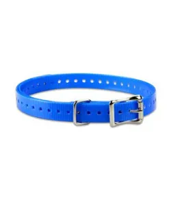 ACC,COLLAR STRAP,3/4",SQ-BUCKLE,TUCK-RING,NICKEL,BLUE