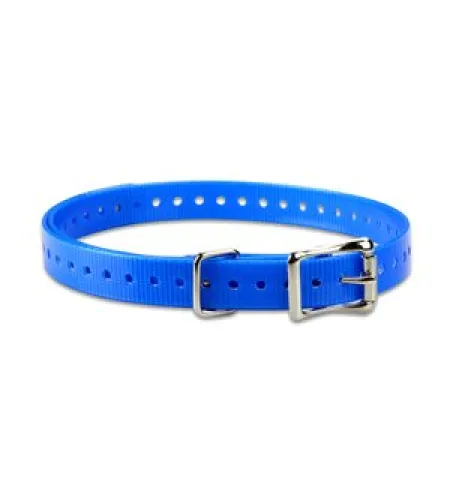 ACC,COLLAR STRAP,3/4",SQ-BUCKLE,TUCK-RING,NICKEL,BLUE