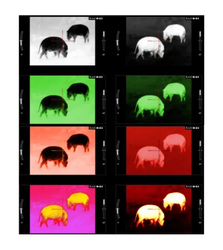 ATN MARS LTV+ 640 2-6x Ultra Light Thermal Rifle Scope