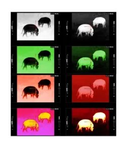 ATN MARS LTV+ 320 5-15x ülikerge termosihik vintpüssile