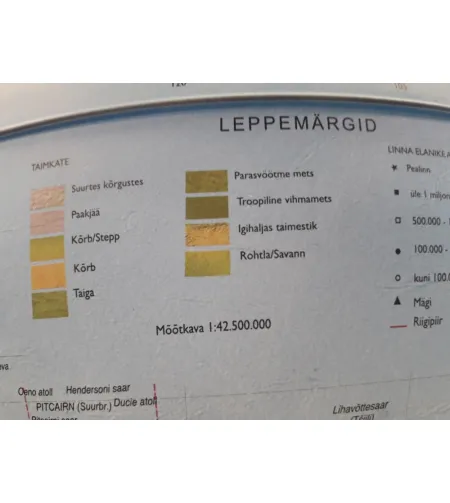 Maakera Elite (EE) 30cm/12", Nova Rico