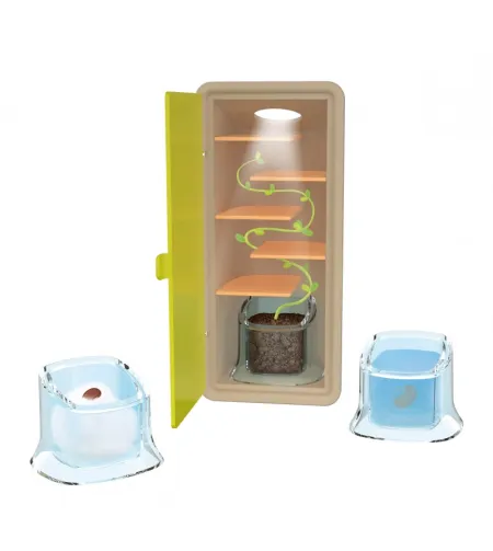 Buki Väikesed võrsed - 100% valmistatud Prantsusmaal