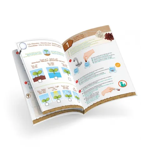 Buki Väikesed võrsed - 100% valmistatud Prantsusmaal