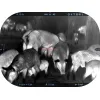 Тепловой прицел MARS 5 EVO LRF 320 4-16x 12 Smart HD ATN