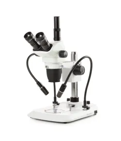 Euromex Nexius Zoom Evo NZ.1703-PG, trino, 6,5x-55x stereomikroskoop