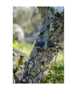 ZEISS Wildlife camera Secacam 5 100&deg; Wide angle