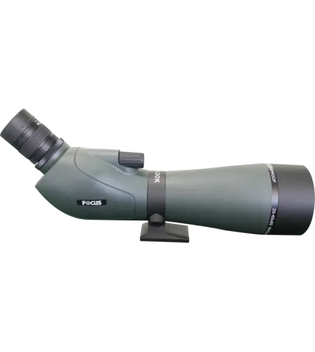 Focus Outlook 16-48x65