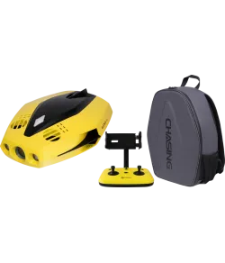 Chasing Dory Flash Pack