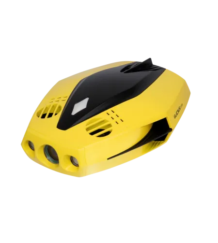 Chasing Dory Flash Pack