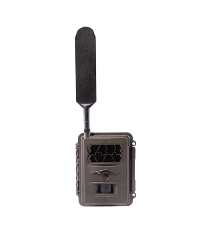 BURREL N24 GLOBAL Лесная Камера 12MP 2G/3G/4G