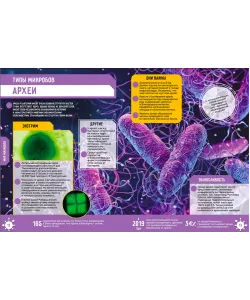 Raamat Microworld. 250 uskumatut fakti (RU)