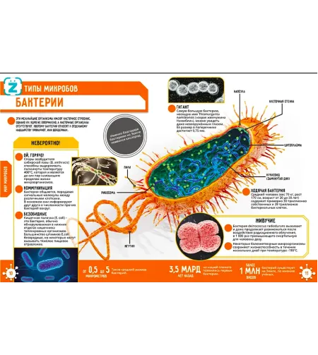 Raamat Microworld. 250 uskumatut fakti (RU)