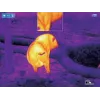 Тепловизионный оптический прицел INFIRAY  Saim SCT35 V2