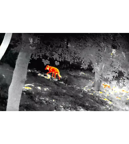 Тепловизионный оптический прицел серии GL35R INFIRAY